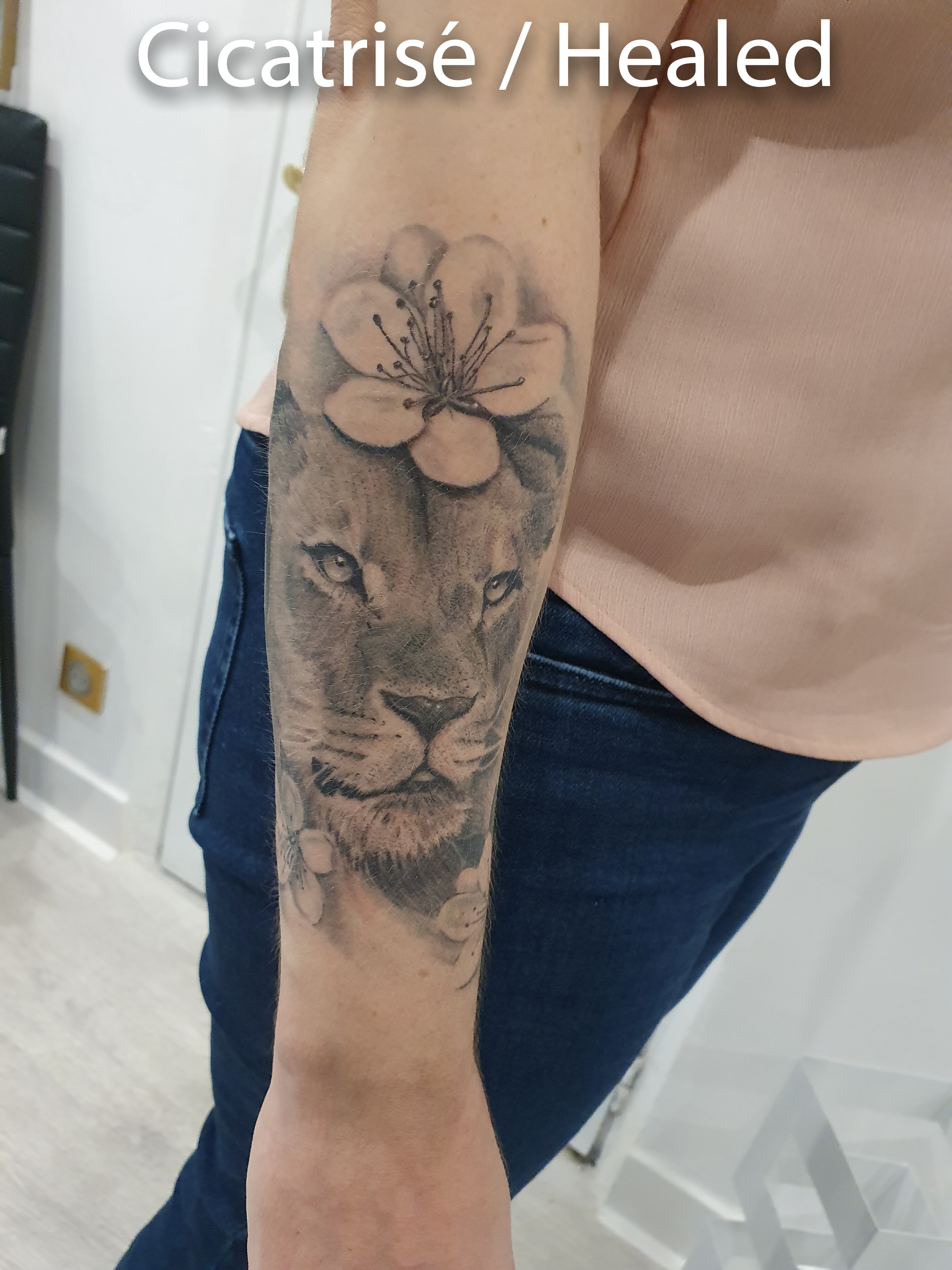 healed lioness tattoo